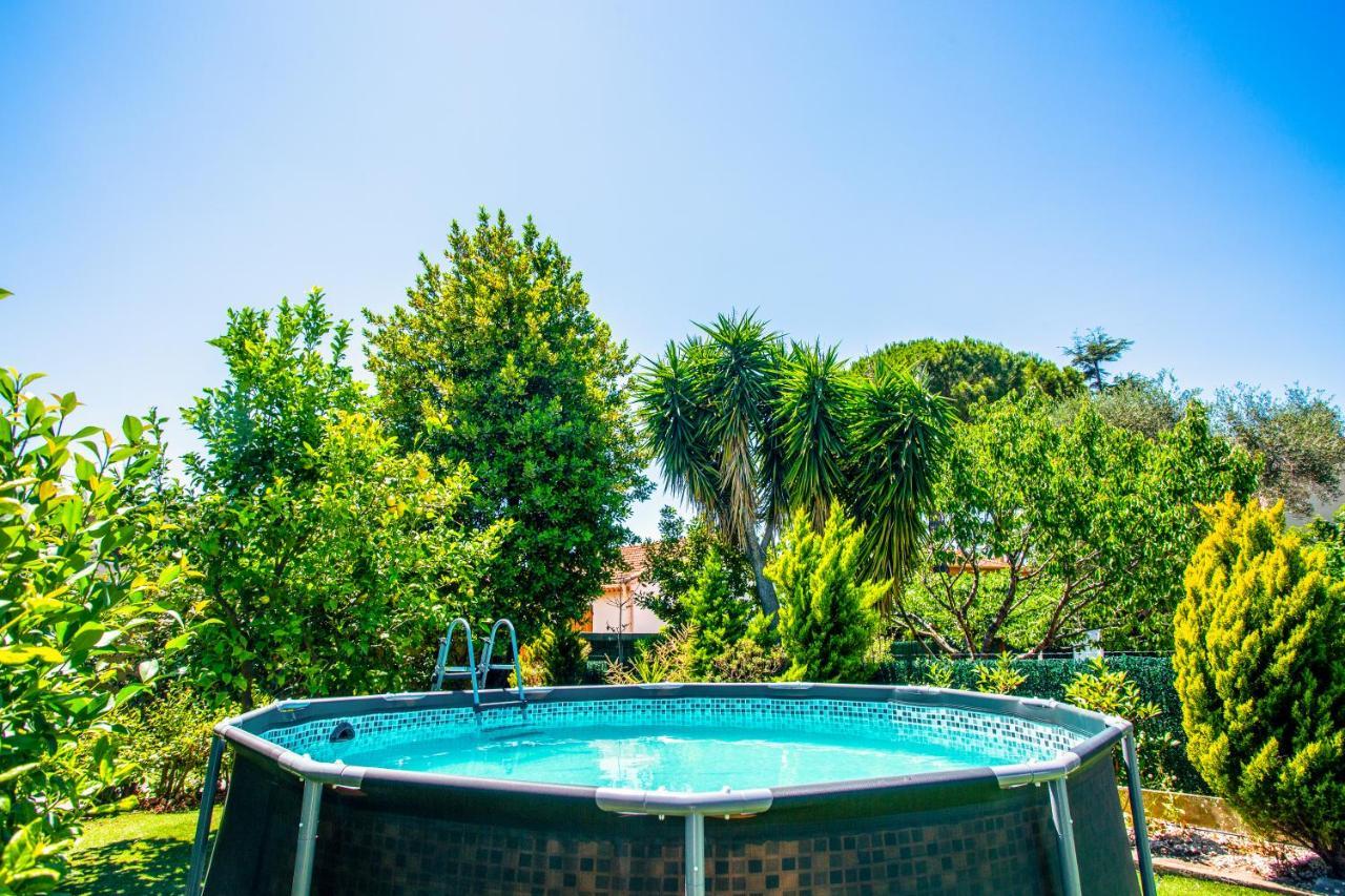 Villa Provence-Spa&Bbq Centre Au Calme- Jardin - Terrasses La Valette-du-Var Exterior foto